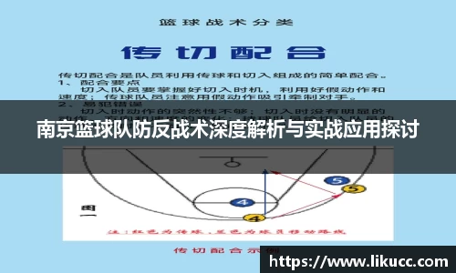 多宝电竞