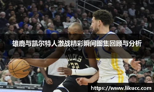 多宝官网